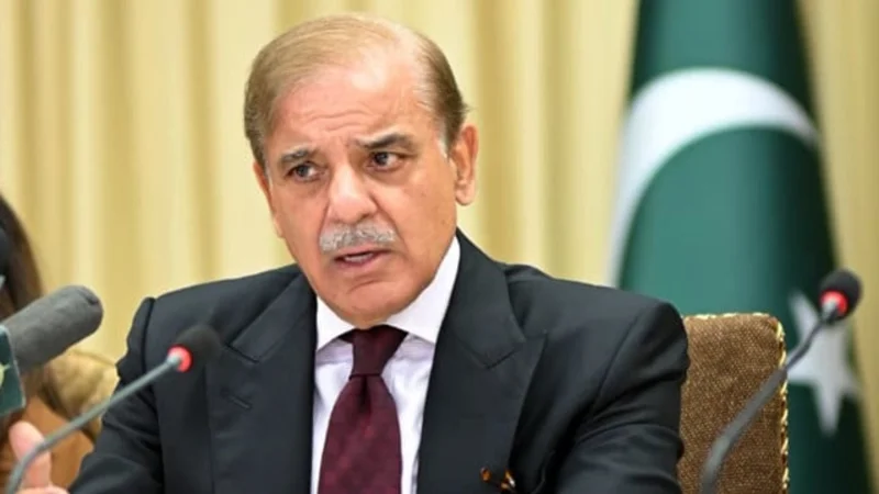 PM Shehbaz directs NDMA to accelerate relief efforts in rain-hit areas