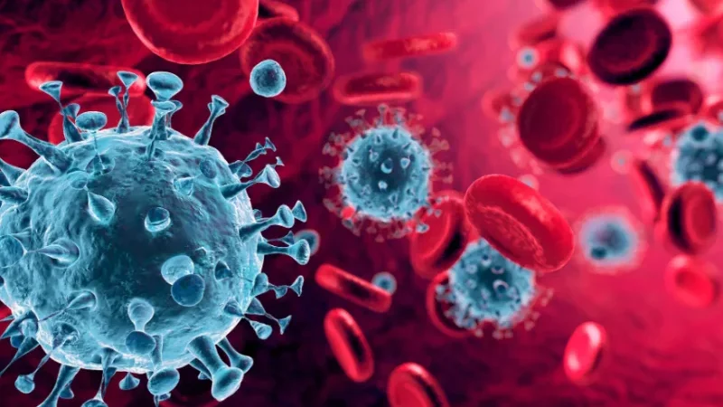 Oropouche virus