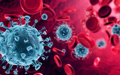 Oropouche virus cases likely vastly underestimated, studies show