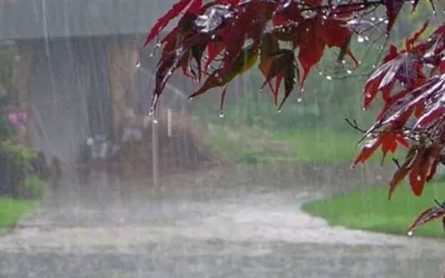 Weather Update; Occasional Rainfall to Bring Pleasant Weather in Lahore