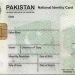 Updated Smart NIC fee for all categories - August 2024