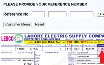 How to download July 2024 electricity bill in Lahore, other cities; details inside