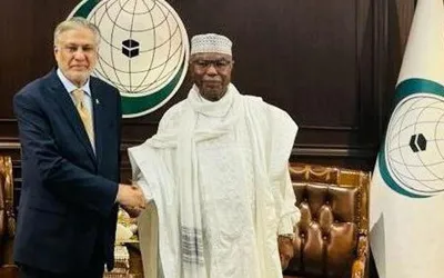 Dar, OIC Secretary General call for ceasefire in Gaza
