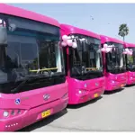Pink Bus service Islamabad updates routes and timings
