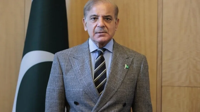 Govt, institutions working to steer country out of crises: PM