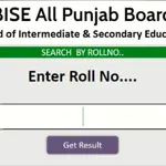 How to Check Punjab board 9th class result 2024 - Check here