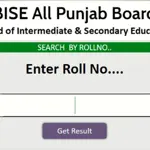 BISE Bahawalpur 9th Class Result 2024 Announced - Check Online