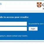 Cambridge announces 2024 IGCSE, O-level, and AS/A-level results; check online