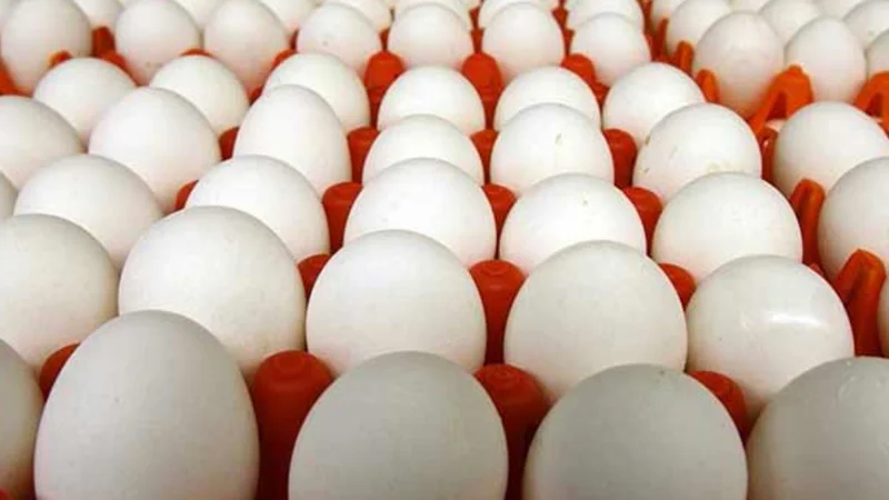 Egg prices Surge in Lahore; Check latest rates here