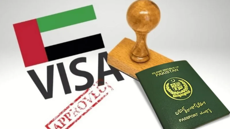 UAE Labor Law Update: Heavy Fines Introduced for Hiring on Visit Visas