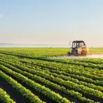 Pakistan and Iran agree to accelerate agricultural trade