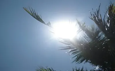 Hot and dry weather predicted across Pakistan