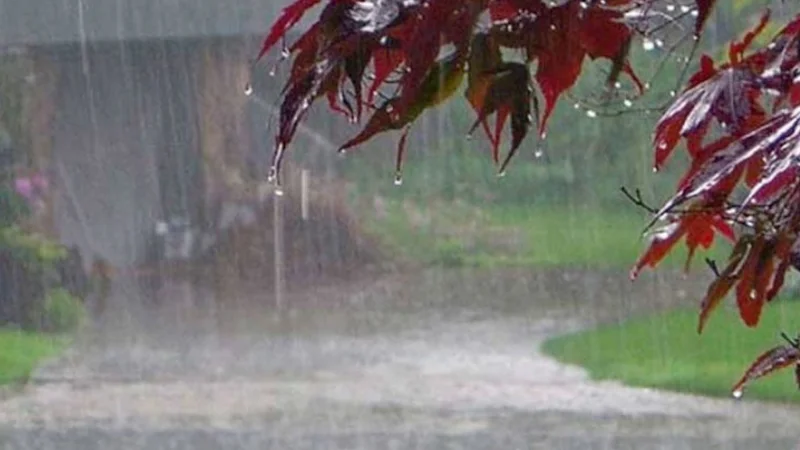 Isolated rains and heavy falls predicted in Peshawar, Khyber Pakhtunkhwa