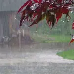 Isolated rains and heavy falls predicted in Peshawar, Khyber Pakhtunkhwa