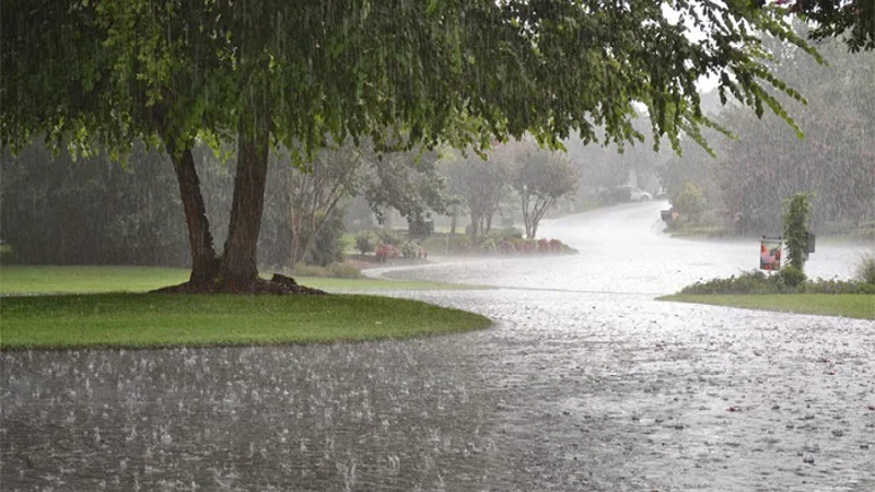 NDMA issues fresh alert for heavy rainfall, thunderstorms in KP, Punjab