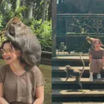 Hania Aamir’s Fun-Filled Day with Monkeys Delights Social Media