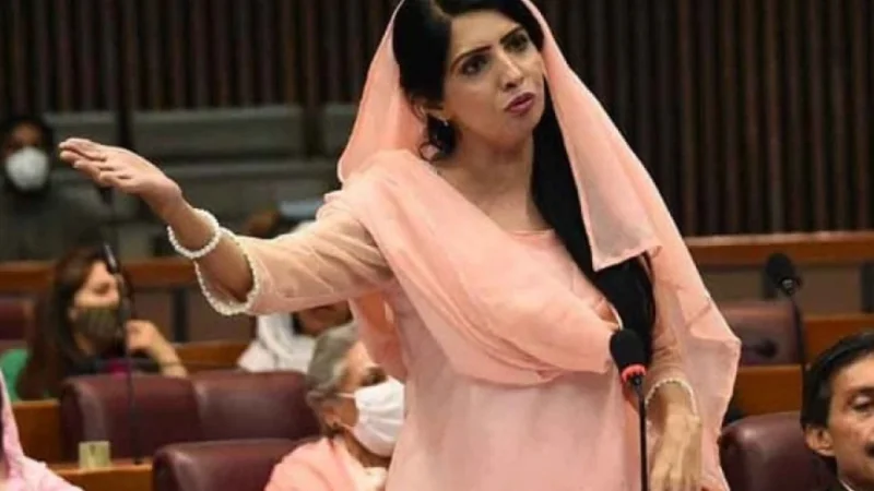IHC grants 15-days protective bail to Aliya Hamza