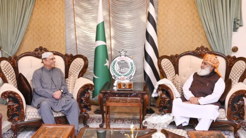 President Zardari meets JUI-F chief Maulana Fazal ur Rehman