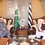 President Zardari meets JUI-F chief Maulana Fazal ur Rehman