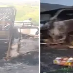 23 people shot dead in Musakhel after being forced off vehicles