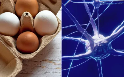 Eggs may slow down cognitive decline, new study