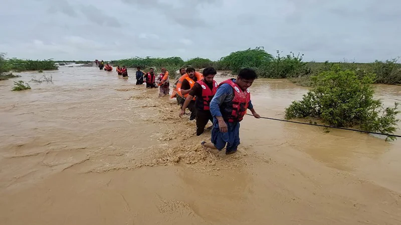 35 children among 49 people killed in Sindh's rain-related incidents since June 1: PMDA
