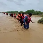 35 children among 49 people killed in Sindh's rain-related incidents since June 1: PMDA