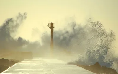 Japan: Typhoon Shanshan hits Kyushu