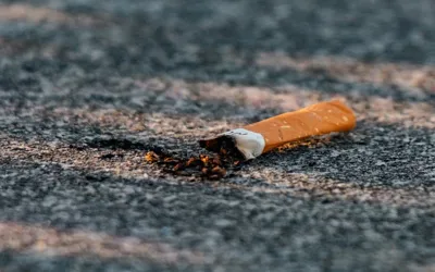 Linking risk of stroke to smoke, new findings