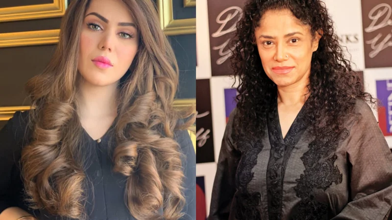 Ghana Ali Defends Angeline Malik After Car Crash Incident