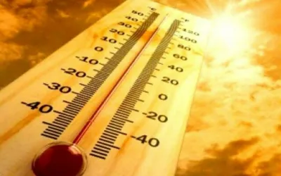 WMO warns Africa of economic challenges due to rising temperatures