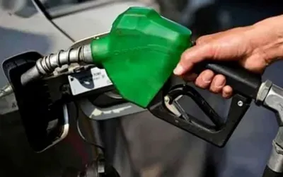 Govt committed to passing oil price relief to consumers: Ali Pervaiz Malik