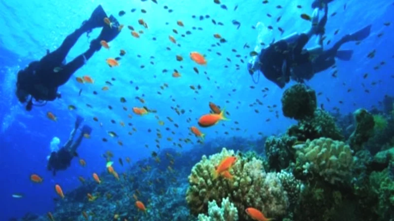 Churna Island becomes second marine protected area in Pakistan