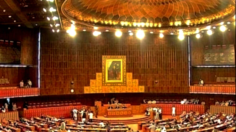 NA approves Peaceful Assembly and Public Order Bill 2024