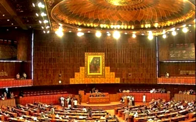 NA approves Peaceful Assembly and Public Order Bill 2024