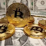 BTC TO USD – Today’s Bitcoin price in Dollar on September 8, 2024