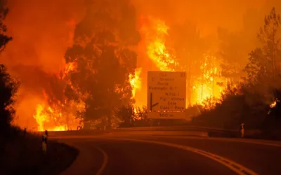Portugal's forest fires lead to severe Motorway closures
