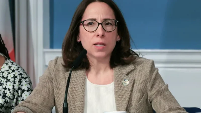 Meet Lisa Zomberg: Comprehensive Look at NYC's Chief Council Life