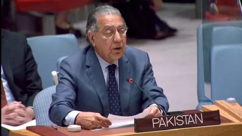 TTP emerging as umbrella body for other terrorist groups: Pakistan