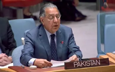 TTP emerging as umbrella body for other terrorist groups: Pakistan