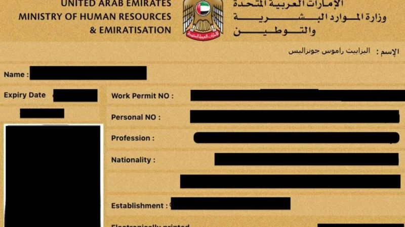 How to download UAE e-labour card for free: complete Guide
