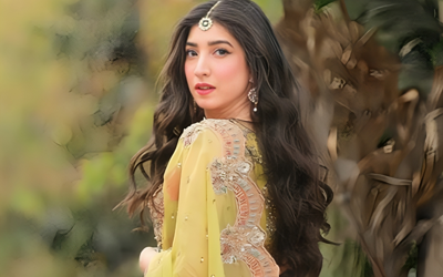 Mariyam Nafees Reacts Hairshly to Her Followers During IG Q&A session