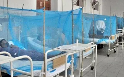Dengue outbreak likely to occur in major cities in October