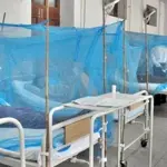Dengue outbreak likely to occur in major cities in October
