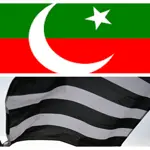 PTI, JUI-F decide to jointly draft constitutional amendment