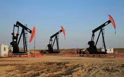 Low quality oil may fueling higher cancer rates in Pakistan