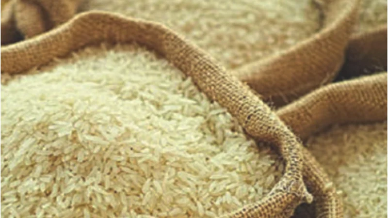 Pakistan's rice exports surge in first quarter