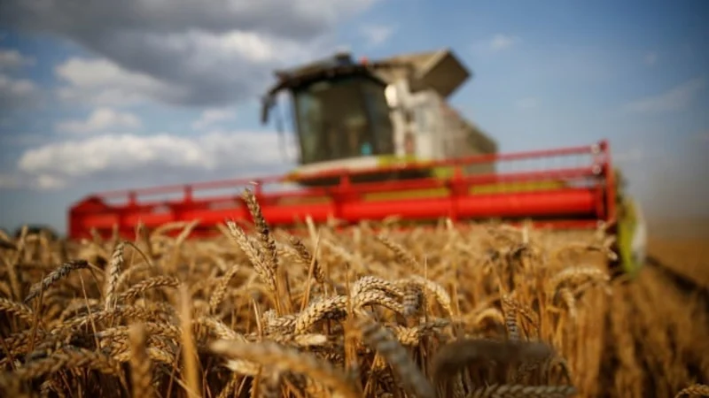 Pakistan suffers Rs496.39 billion loss due to poor handling of five crops
