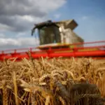 Pakistan suffers Rs496.39 billion loss due to poor handling of five crops