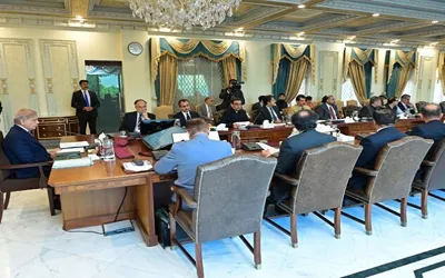 Cabinet body approves independent multiplayer market for power purchase, generation